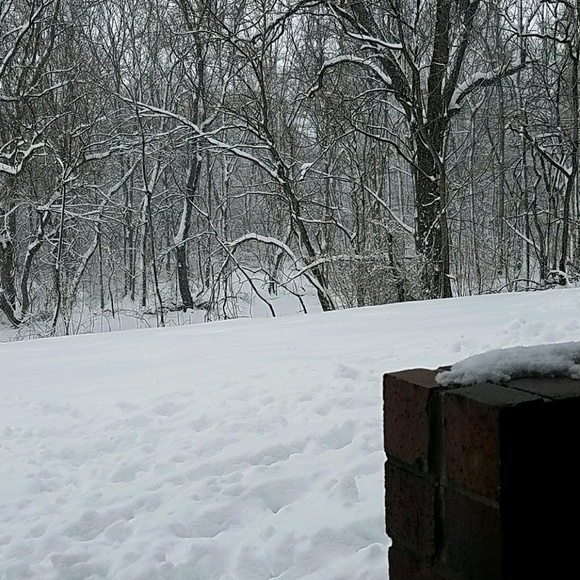 countryhick24